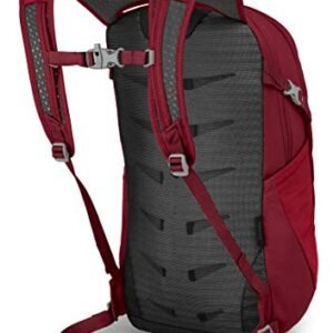 Osprey Daylite Commuter Backpack - Cosmic Red Adventure